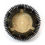 13" Nylon Carpet Scrub Brush image