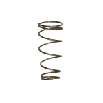 1" Stainless Steel Check Valve Spring image