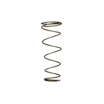 1-1/4" Stainless Steel Check Valve Spring image