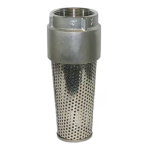 1100 Series 2" Stainless Steel Foot Valve image