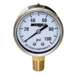 0-100 PSI - 2" Dial Pressure Gauge 2 Increments, 1/4" NTP - Lower Male image