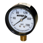 0-200 PSI - 2-1/2" Dial Pressure Gauge 4 Increments, 1/4" NTP - Lower Male image