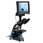 High Quality Digital Microscope image