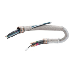 Cable Lead 35' with Gas Hose 6' image
