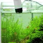 PCE Instruments PCE-PH 30R Redox Meter for Water Analaysis