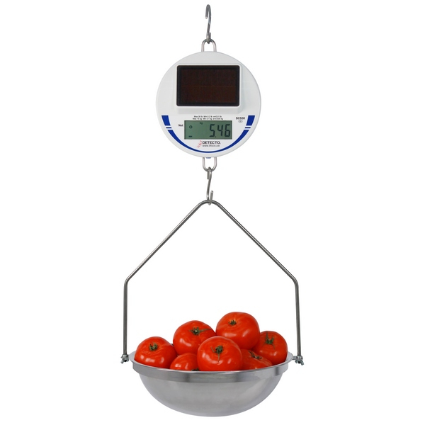 Detecto scs30 Digital Solar Hanging Scale, 30 lb / 15 kg Capacity, Includes Pan and Bow