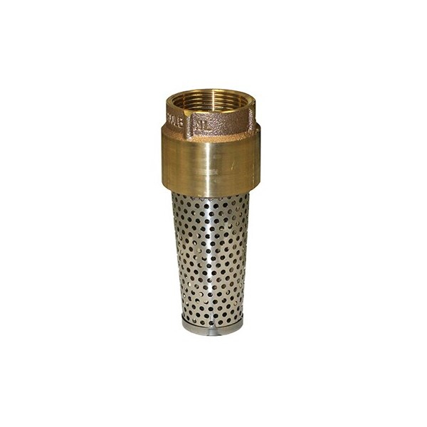Merrill FVANL125 860 Series 1-1/4" No-Lead Bronze Foot Valve