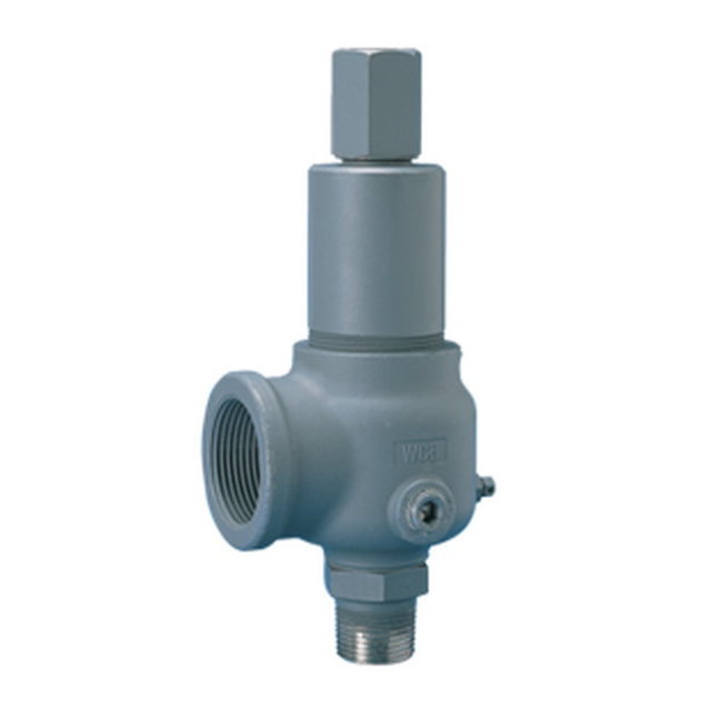 Midwest Control 911BFEM01-AKE0400 1 x 1-1/2 Safety Valve 400 PSI 2466 SCFM SS Body/Trim Hard Seat w/Cap