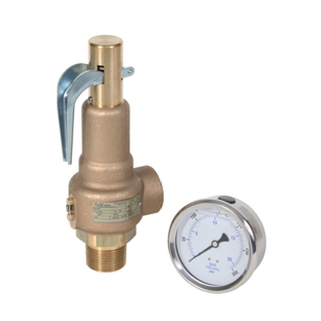 Midwest Control TKM165-R300 Tank Kit 1-1/2 x 1-1/2 Safety Valve 165 PSI 1750 SCFM 4" LF CBM Gauge 300 PSI